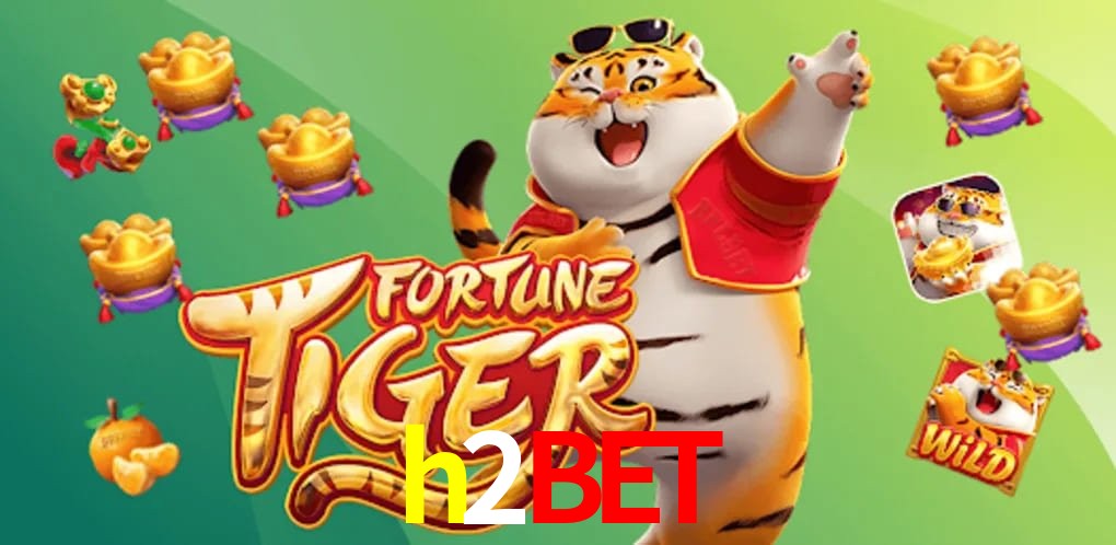 Experiência VIP h2bet